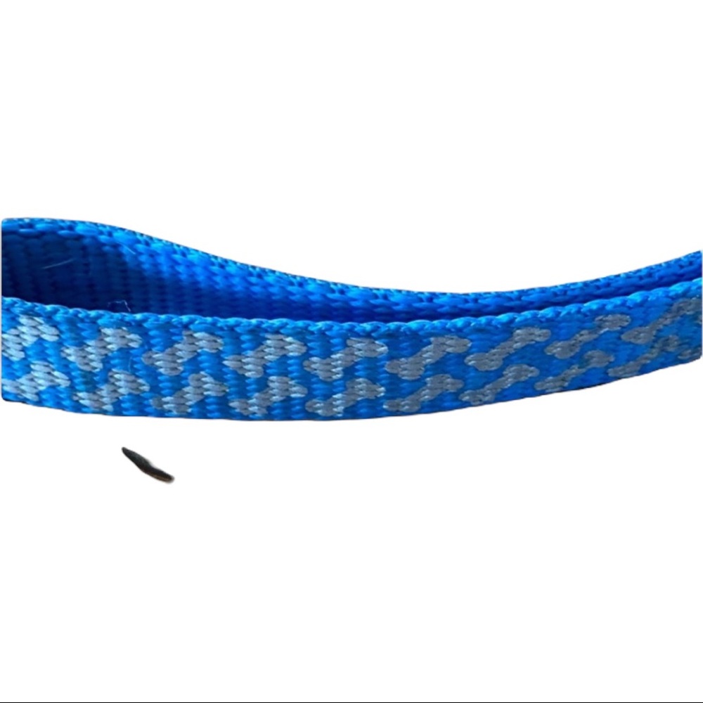 Dog collar - Picture 2 of 2